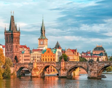 compressed_resized_image_5