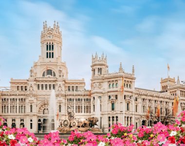 viber_image_2025-12-01_16-11-32-794