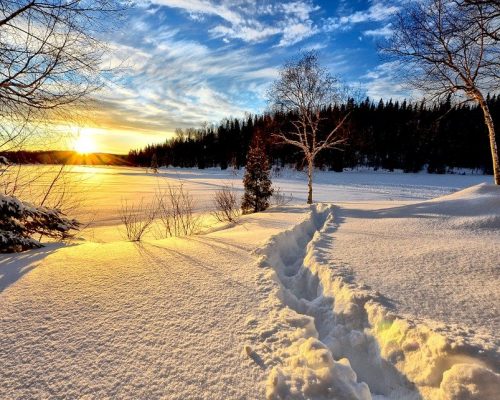 winter-landscape-636634_960_720